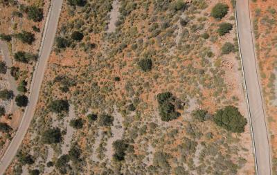 dji_fly_20230410_111500_910_1681114559235_photo