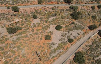 dji_fly_20230410_111522_912_1681114574458_photo