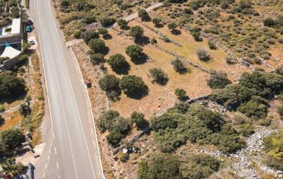 dji_fly_20230420_102726_518_1681975953534_photo