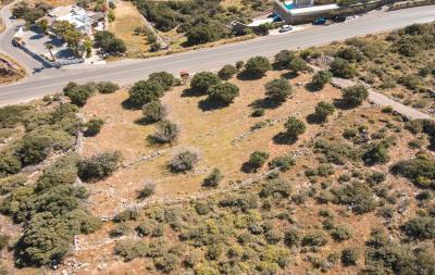 dji_fly_20230420_102758_521_1681975962118_photo