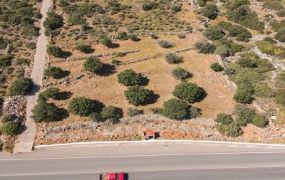 dji_fly_20230420_102840_526_1681975867935_photo