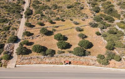 dji_fly_20230420_102842_527_1681975870018_photo