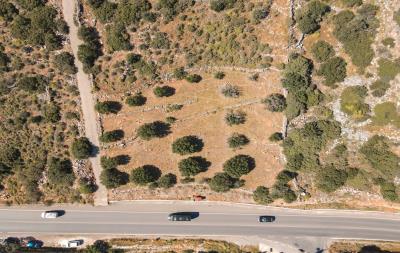 dji_fly_20230420_102906_529_1681975849386_photo