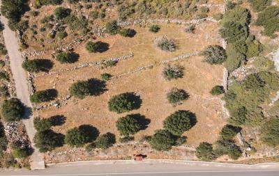 dji_fly_20230420_102856_528_1681975855466_photo