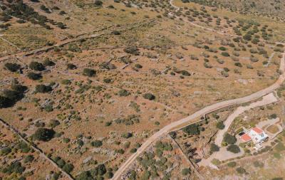 dji_fly_20230412_151634_167_1681301947573_photo