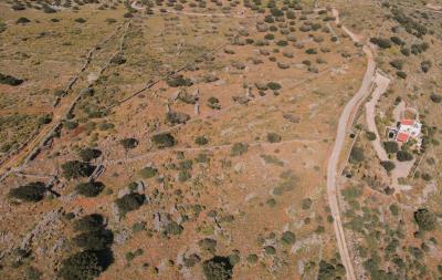 dji_fly_20230412_151652_169_1681301960182_photo