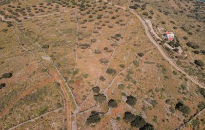 dji_fly_20230412_151704_171_1681301972355_photo