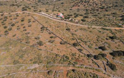 dji_fly_20230412_151716_173_1681301985305_photo