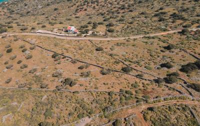 dji_fly_20230412_151722_174_1681301991834_photo