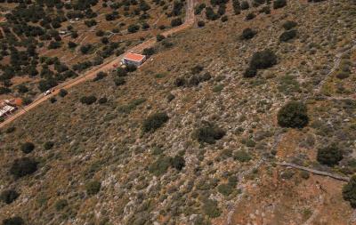 dji_fly_20230419_124730_376_1681