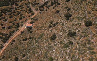 dji_fly_20230419_124740_377_1681
