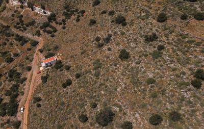 dji_fly_20230419_124752_378_1681
