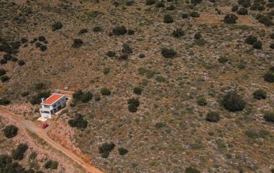 dji_fly_20230419_124814_380_1681
