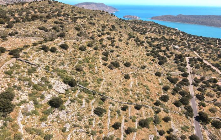 Image No.11-Plot for sale