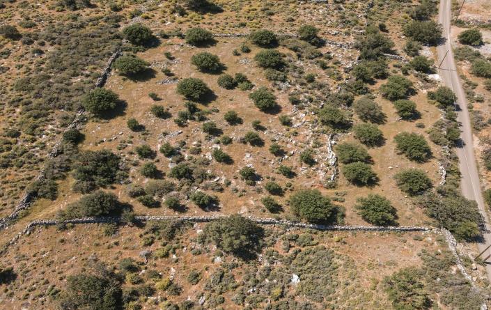 Image No.4-Plot for sale