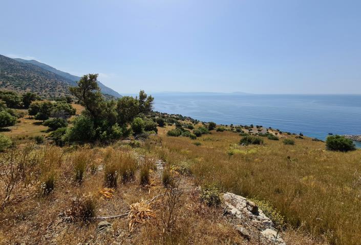 Image No.1-Terrain à vendre à Ag Pavlos