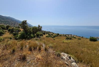 Terrain à vendre à Ag Pavlos