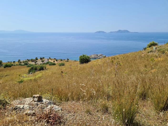 Image No.2-Terrain à vendre à Ag Pavlos