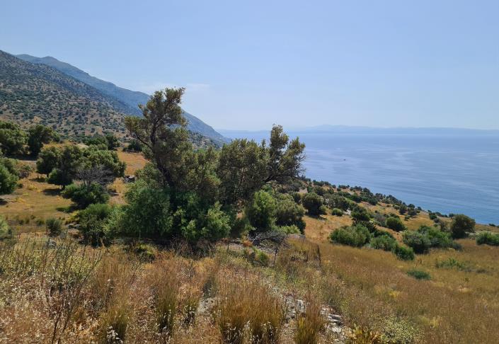 Image No.3-Terrain à vendre à Ag Pavlos