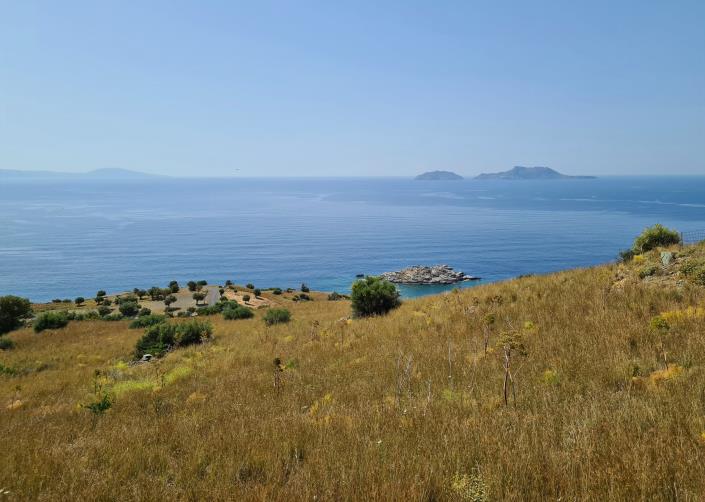 Image No.4-Terrain à vendre à Ag Pavlos