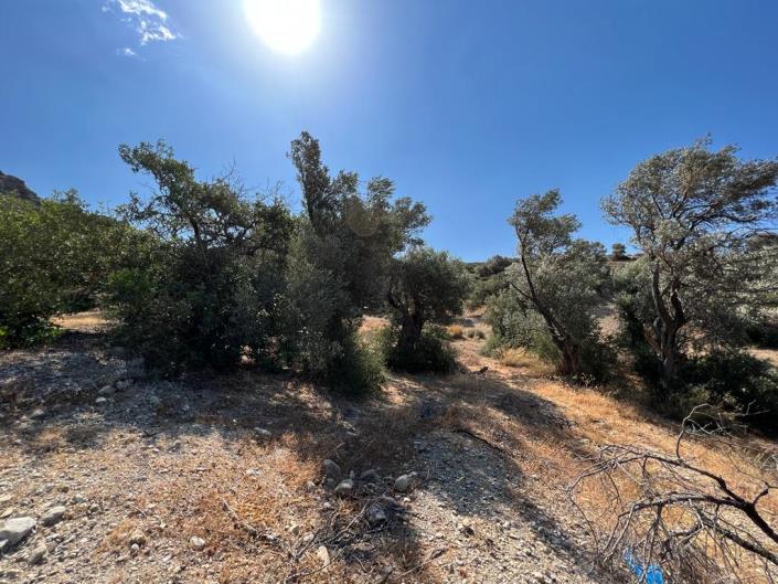 Image No.2-Terrain à vendre à Agia Galini