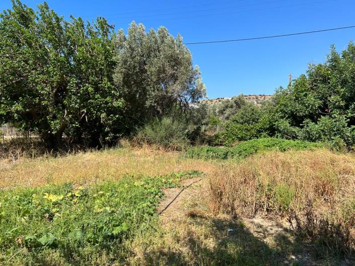 Image No.3-Terrain à vendre à Agia Galini