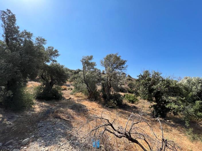 Image No.6-Terrain à vendre à Agia Galini