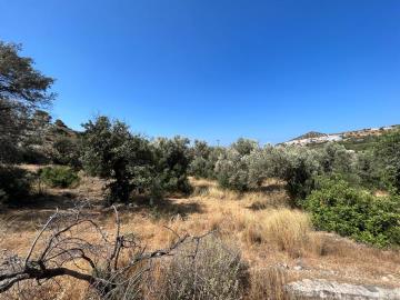 Terrain à vendre à Agia Galini