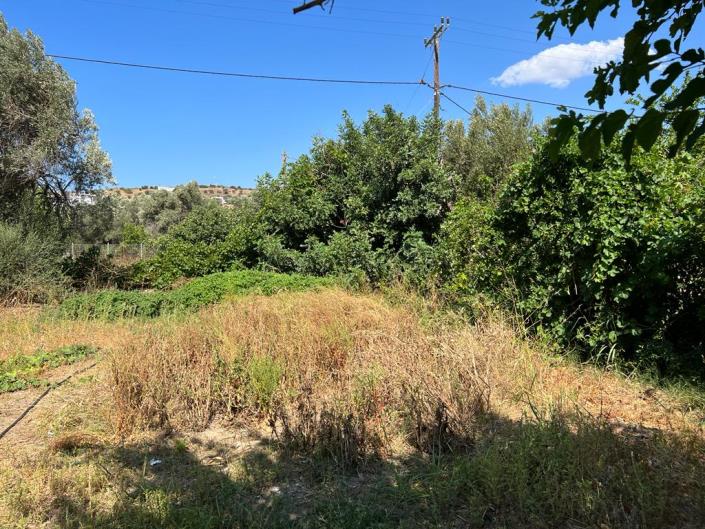 Image No.8-Terrain à vendre à Agia Galini