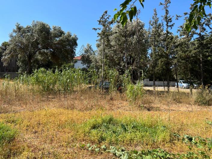 Image No.9-Terrain à vendre à Agia Galini