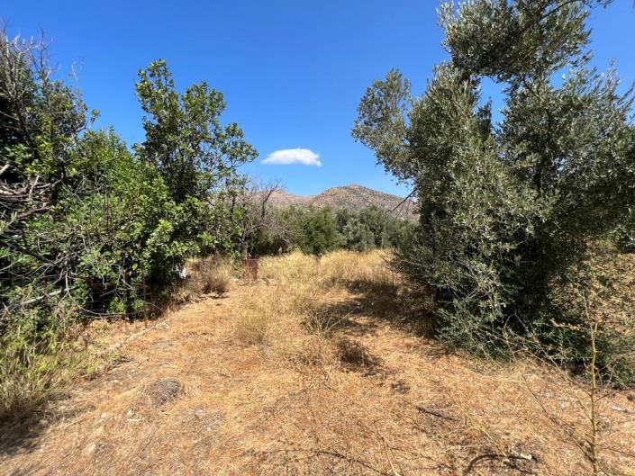 Image No.10-Terrain à vendre à Agia Galini