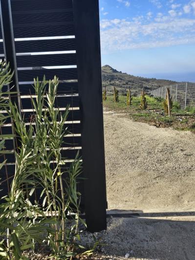 Image No.5-2 Bed Villa for sale