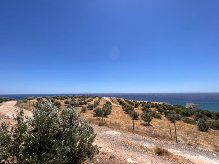 Image No.3-Terrain à vendre à Keratokampos