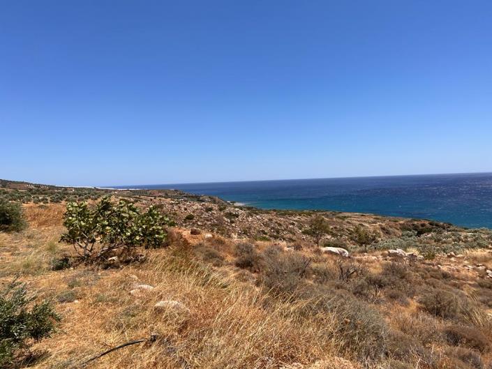 Image No.8-Terrain à vendre à Keratokampos