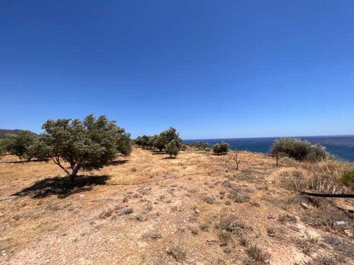 Image No.7-Terrain à vendre à Keratokampos