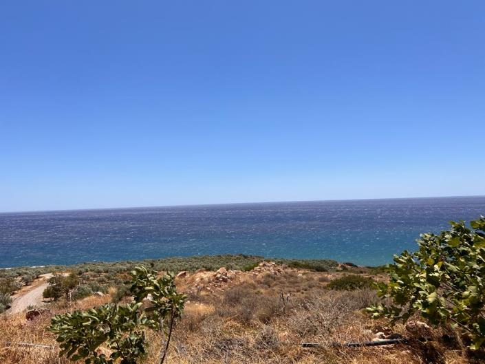 Image No.10-Terrain à vendre à Keratokampos