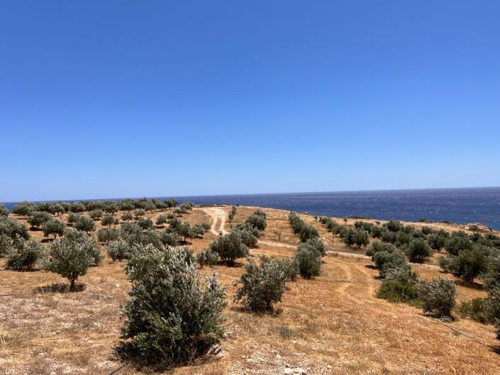 Image No.12-Terrain à vendre à Keratokampos