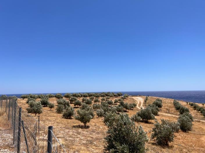 Image No.2-Terrain à vendre à Keratokampos