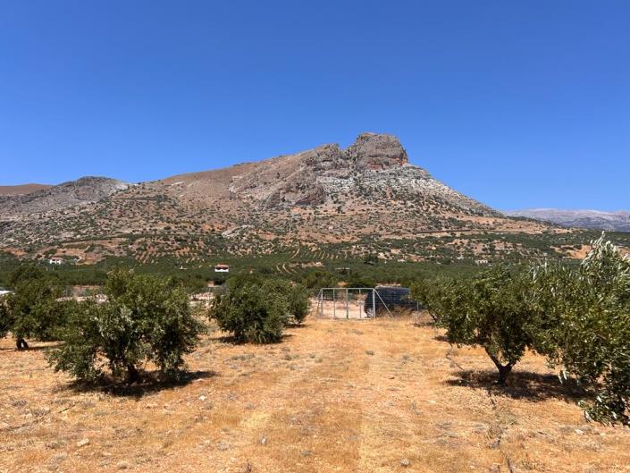 Image No.14-Terrain à vendre à Keratokampos