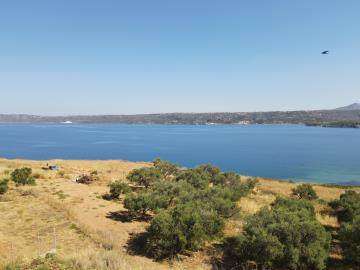 Photo_6554148_DJI_548_jpg_5539104_0_202172010356_photo_original