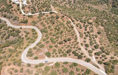 dji_fly_20230603_125542_445_1685786361749_photo