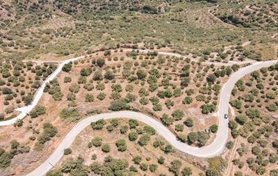 dji_fly_20230603_125606_448_1685786408643_photo