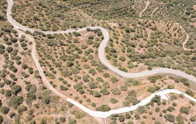 dji_fly_20230603_125640_452_1685786416933_photo