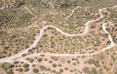 dji_fly_20230603_125704_454_1685786420991_photo