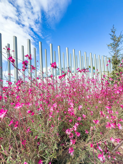 Image No.41-4 Bed Property for sale