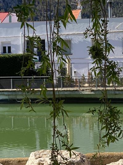 Image No.3-Appartement de 3 chambres à vendre à Velez-Rubio