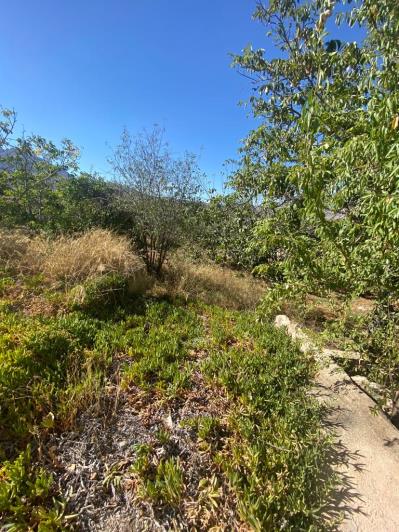 Image No.18-Maison de campagne de 3 chambres à vendre à Velez-Rubio
