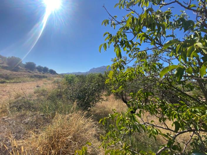Image No.26-Maison de campagne de 3 chambres à vendre à Velez-Rubio