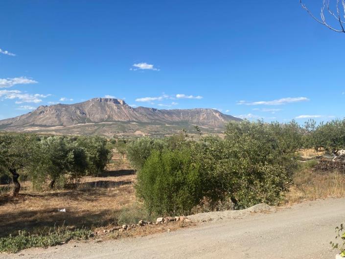 Image No.24-Maison de campagne de 3 chambres à vendre à Velez-Rubio