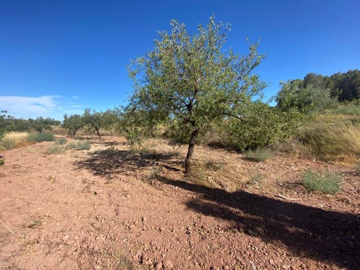 Image No.28-Maison de campagne de 3 chambres à vendre à Velez-Rubio
